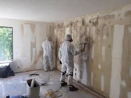 Best Biohazard Mold Removal  in Jenkins, KY